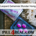 Leopard Secret Miracle Honey 37